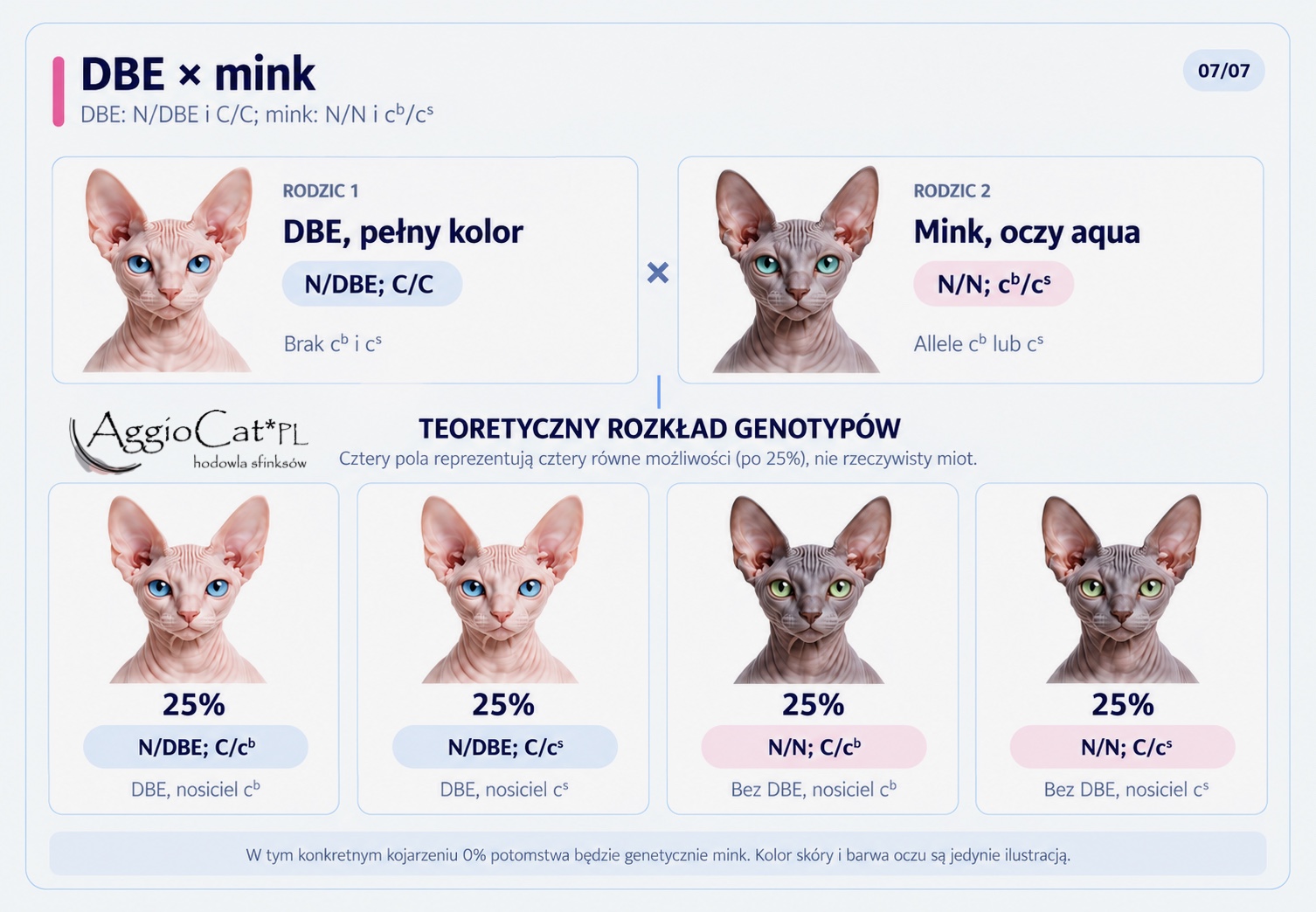 Diagram 7: DBE × mink