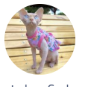 Owner’s profile photograph from the original website