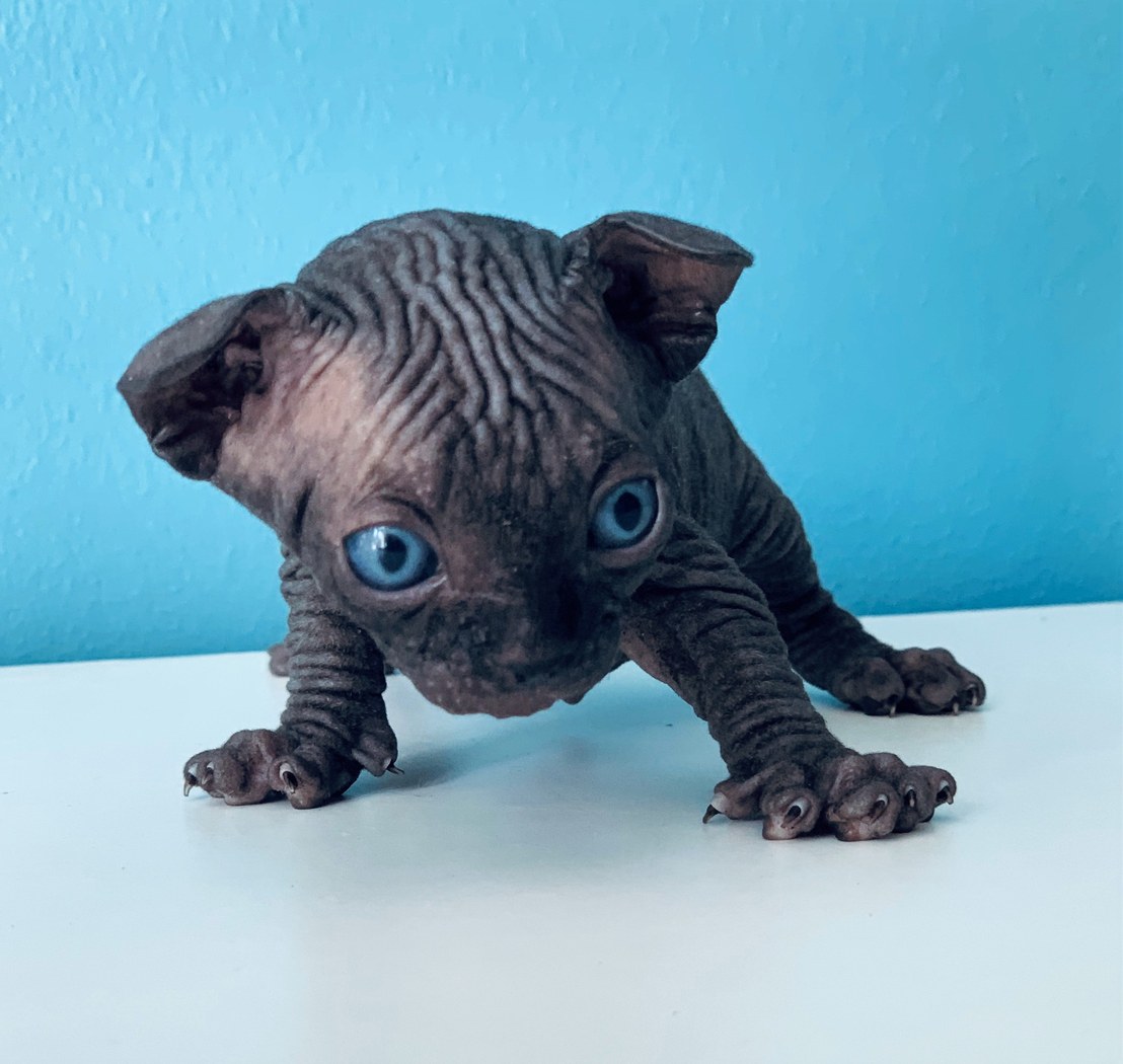 Litter photo F