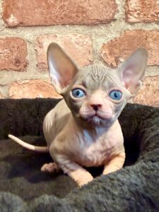 20251211_115108597_iOS