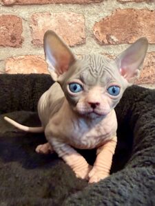 20251211_115109468_iOS