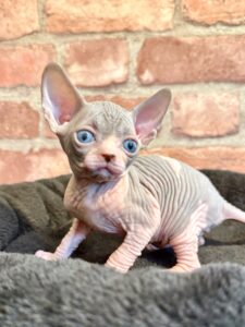 20251211_115145756_iOS