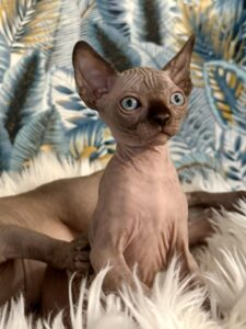 20251223_094525165_iOS