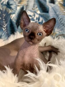 20251223_094555018_iOS