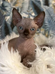 20251223_094601638_iOS