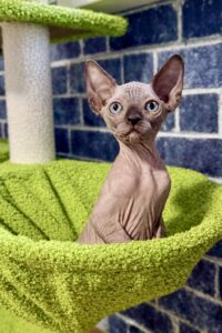 20251227_031706847_iOS