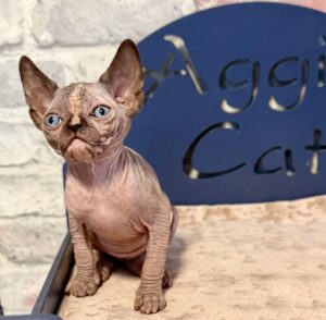 20251231_073523292_iOS