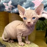 20260302_130043320_iOS