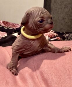 20260303_203229988_iOS