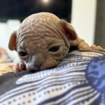 20260305_143001588_iOS