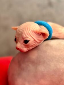 20260310_112147678_iOS