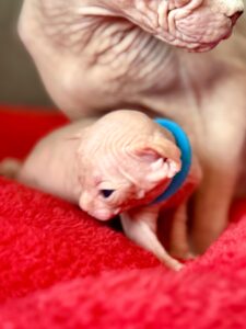 20260310_112236734_iOS