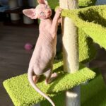 20260318_143356859_iOS