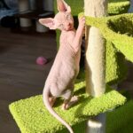 20260318_143400416_iOS