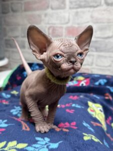 20260326_130855777_iOS